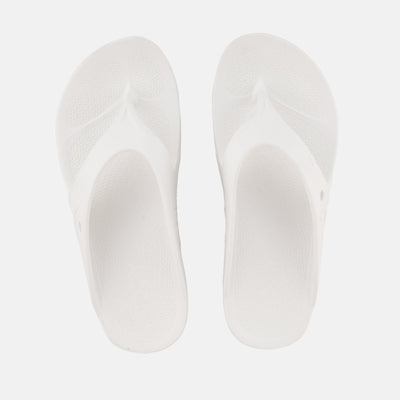 Men's slippers Explorer in cotton